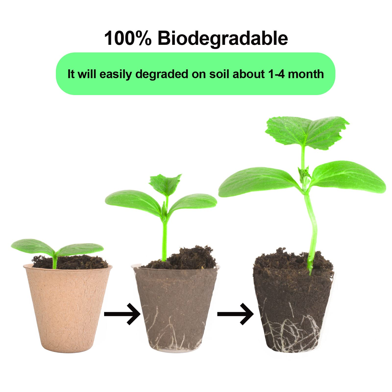 JERIA environmentally friendly seed starter kit for eco gardens.