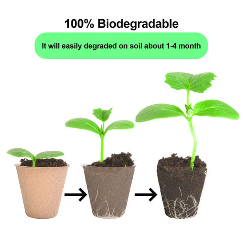 JERIA environmentally friendly seed starter kit for eco gardens.