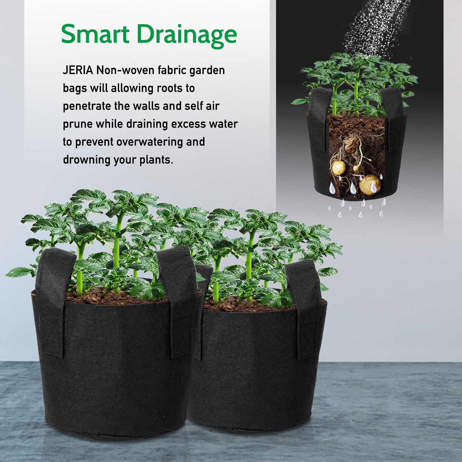 Grow bags used in both indoor and outdoor setups for versatile planting