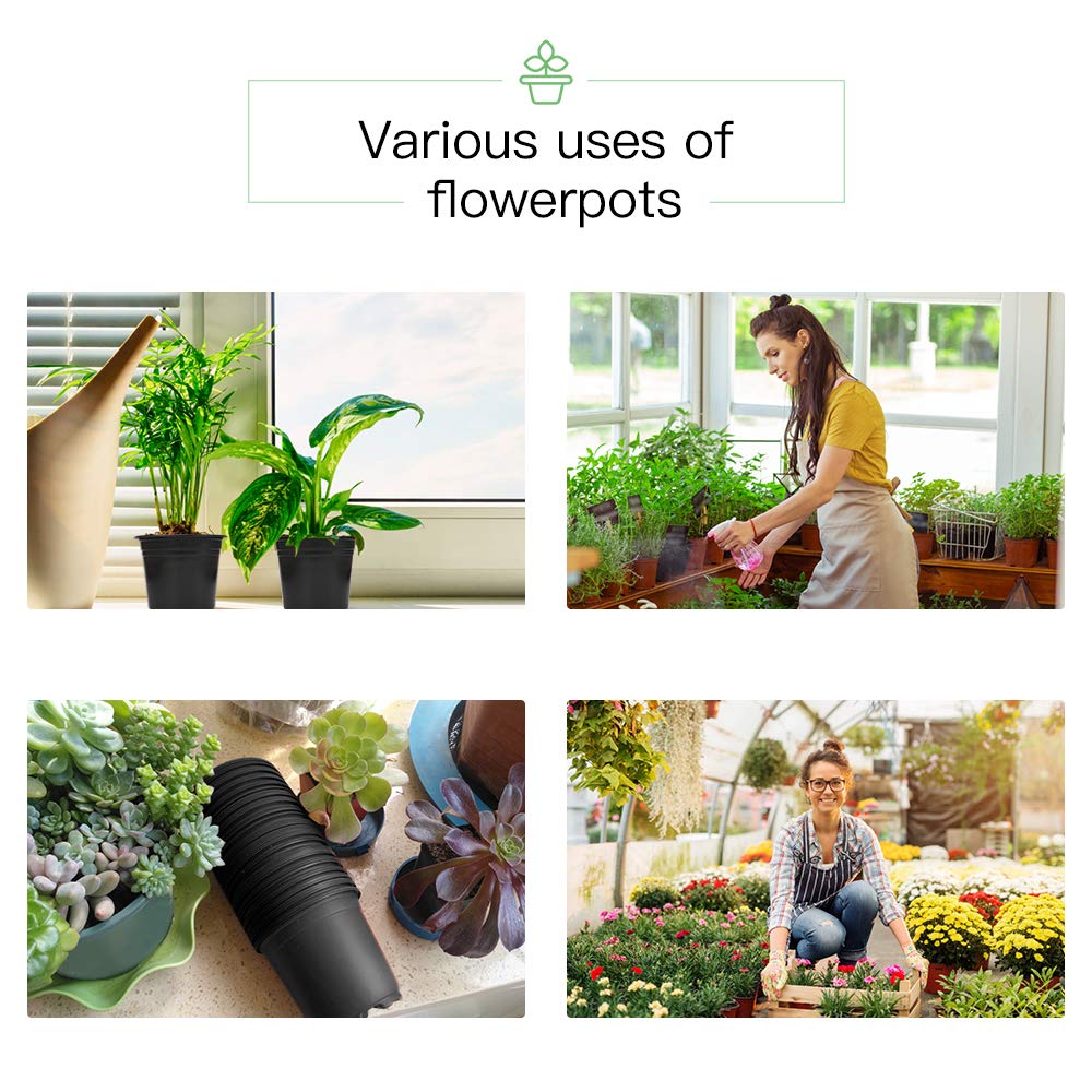 JERIA 100-pack set helps organize a thriving starter garden