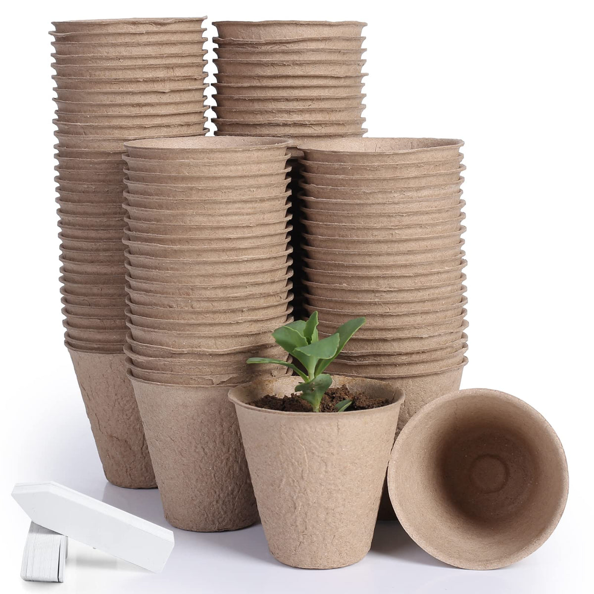 JERIA 3.15-inch peat pots ready for seed germination with breathable root environment.