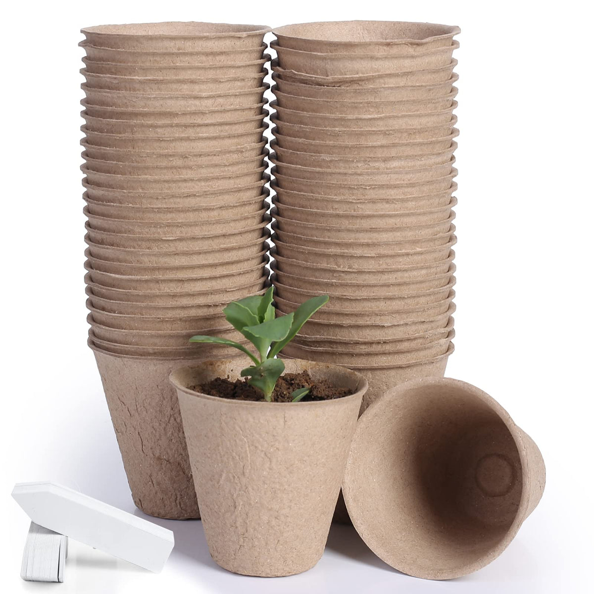 JERIA peat pots 3.15-inch kit ready for seedling germination.