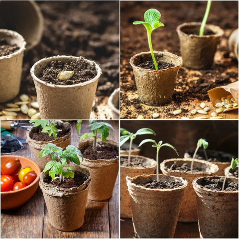 JERIA outdoor planting kit for flowers, herbs, and vegetables.