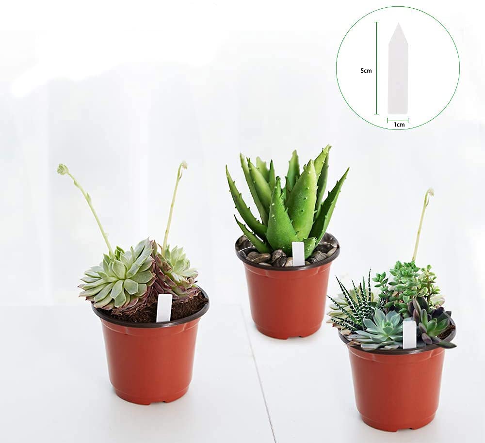 JERIA pots with drainage holes promote drainage and aeration.