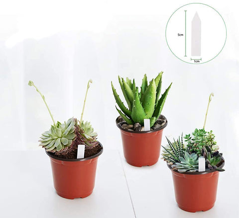 JERIA pots with drainage holes promote drainage and aeration.