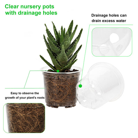 JERIA root-growth view pot reveals roots through clear walls.