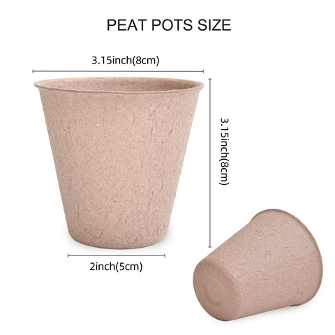 JERIA seed labels included for easy plant labeling and tracking.