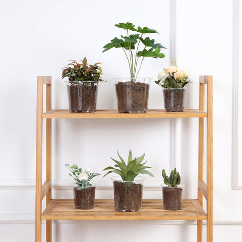JERIA clear plastic pot for seed starting versatility.