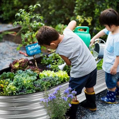Jeria spacious planting area accommodates vegetables, fruits, herbs, and flowers.