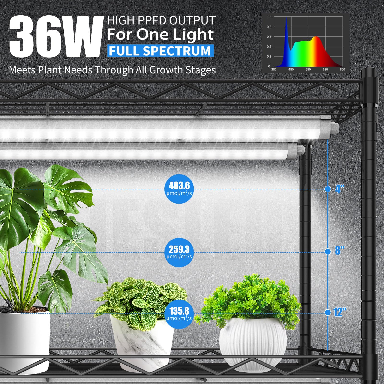 JESLED five-tier adjustable shelves support diverse plant stages from seedlings to mature greens.