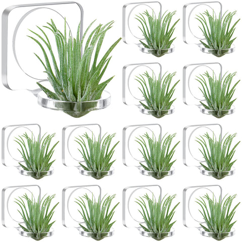 Jetec acrylic air plant hanger, clear and nearly invisible on glass surfaces.