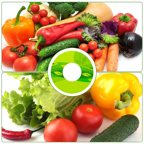 Jetec adhesive seed labels on PVC for reliable garden labeling