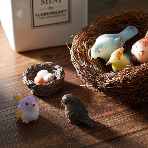 Jetec cake topper birds add playful touch to desserts and party decorations