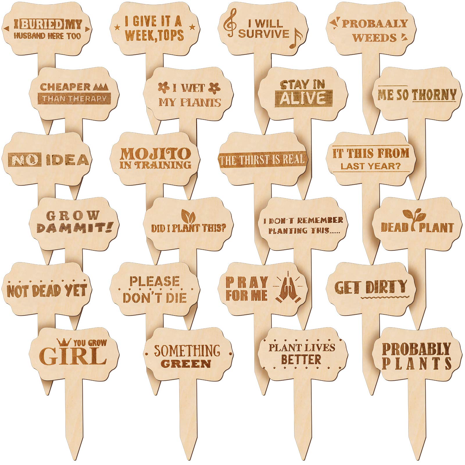 Jetec funny plant markers wooden signs for succulents add charm and easy labeling.
