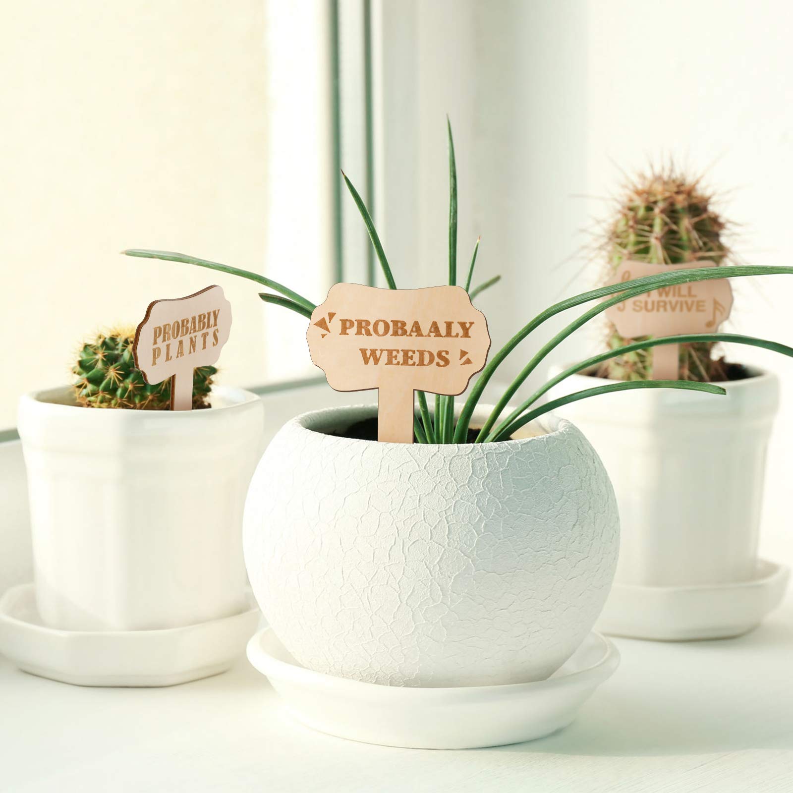 Jetec gift-set garden markers wooden labels ideal for beginners and gifting.