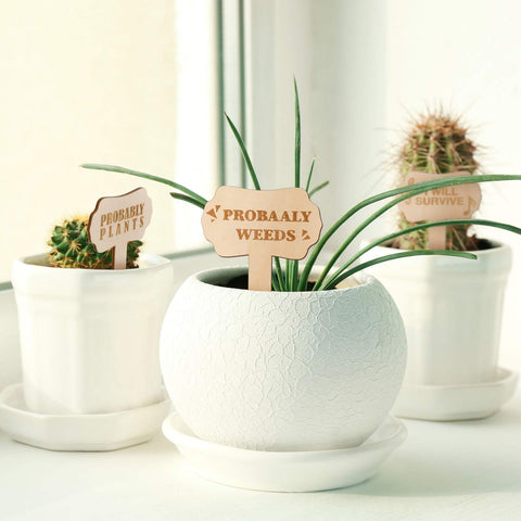 Jetec gift-set garden markers wooden labels ideal for beginners and gifting.