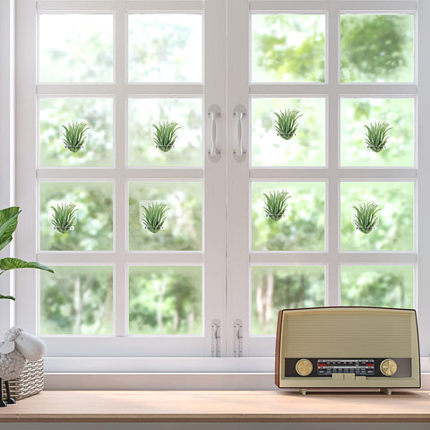 Jetec glass-display arrangement using clear hangers for floating greenery.