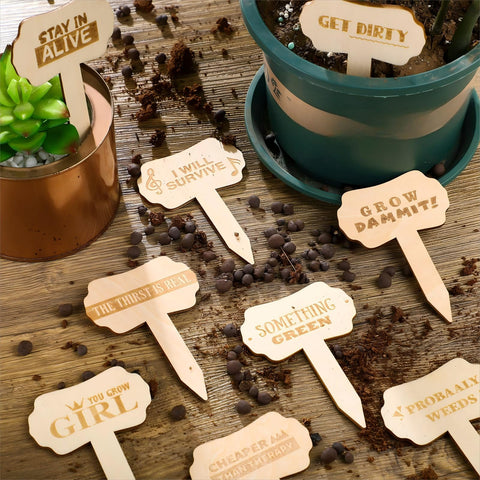 Jetec indoor/outdoor garden marker wooden stake enhances plant identification and tidiness.