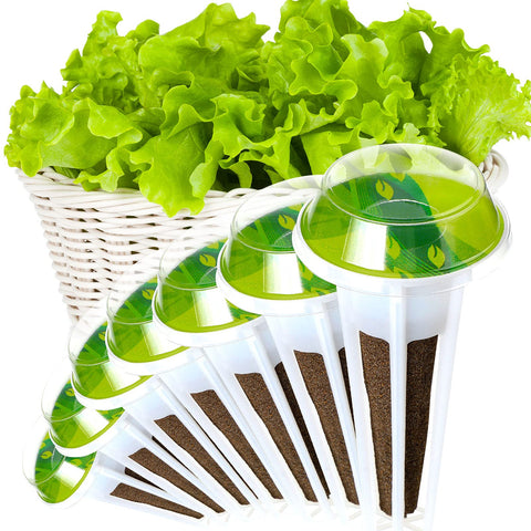 Jetec large-write area lets you record plant details clearly.