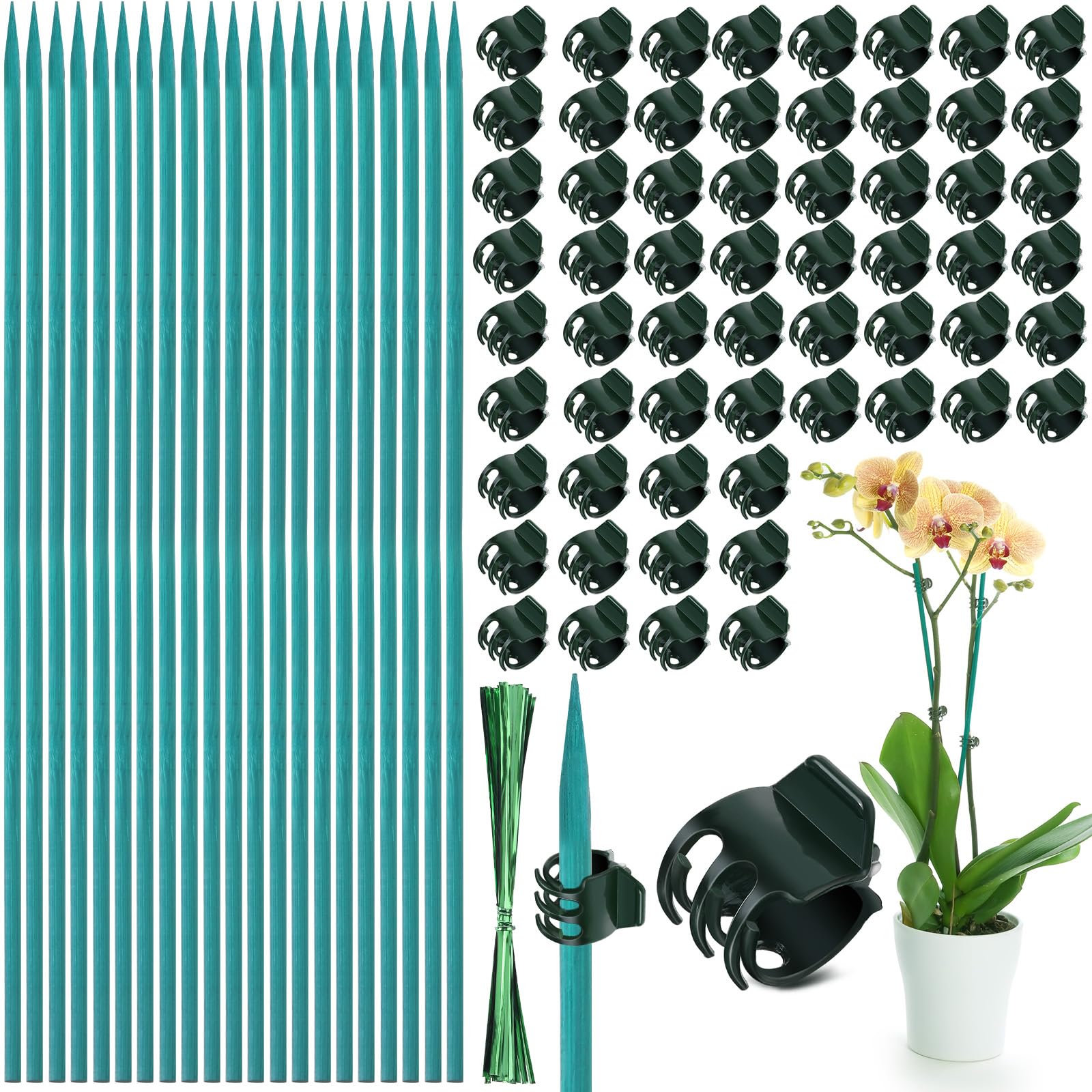 Jetec bamboo plant stakes kit showing 15-inch support stakes.