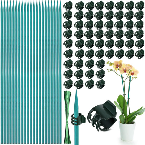 Jetec bamboo plant stakes kit showing 15-inch support stakes.