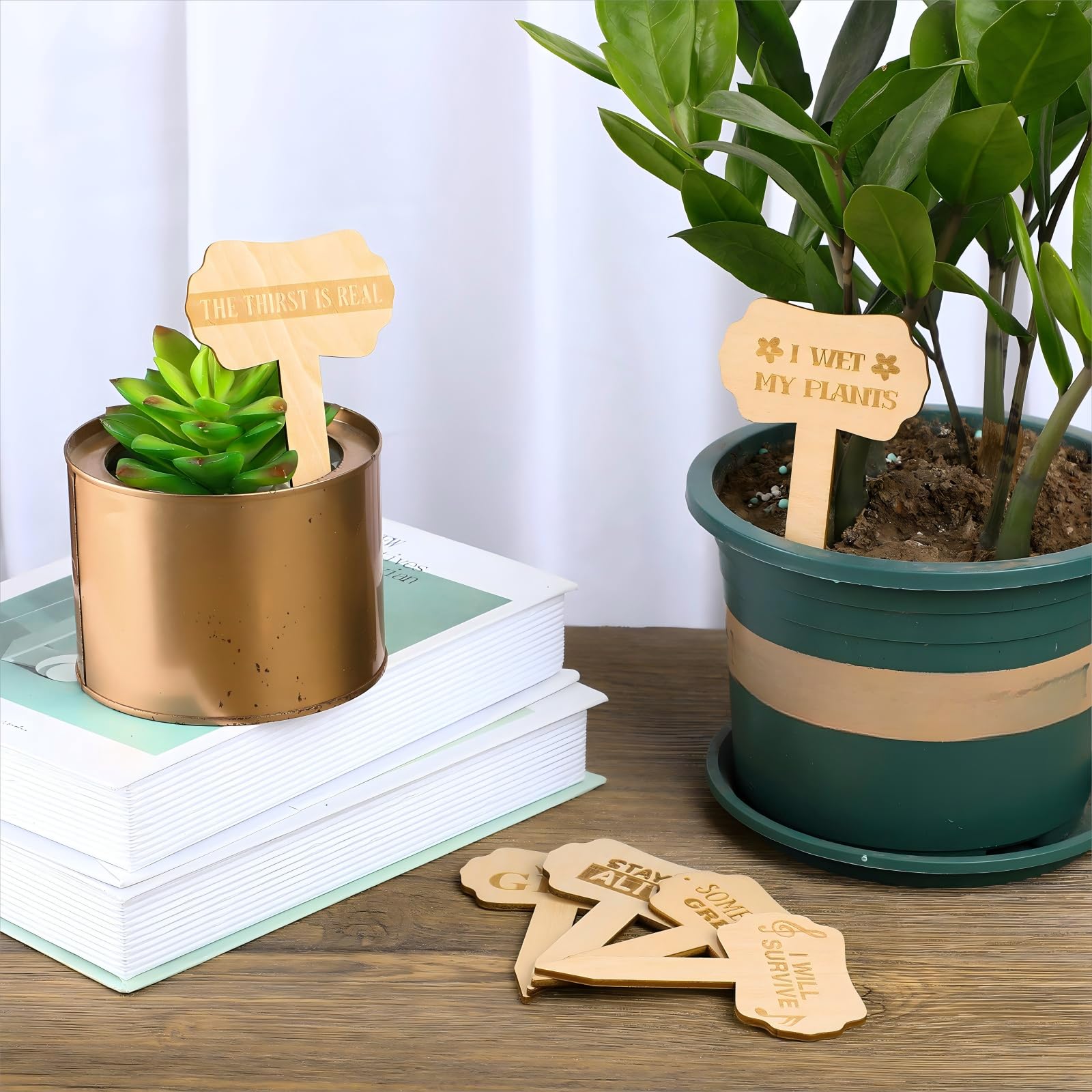 Jetec succulent plant tags wooden labeling, tidy display for potted arrangements.
