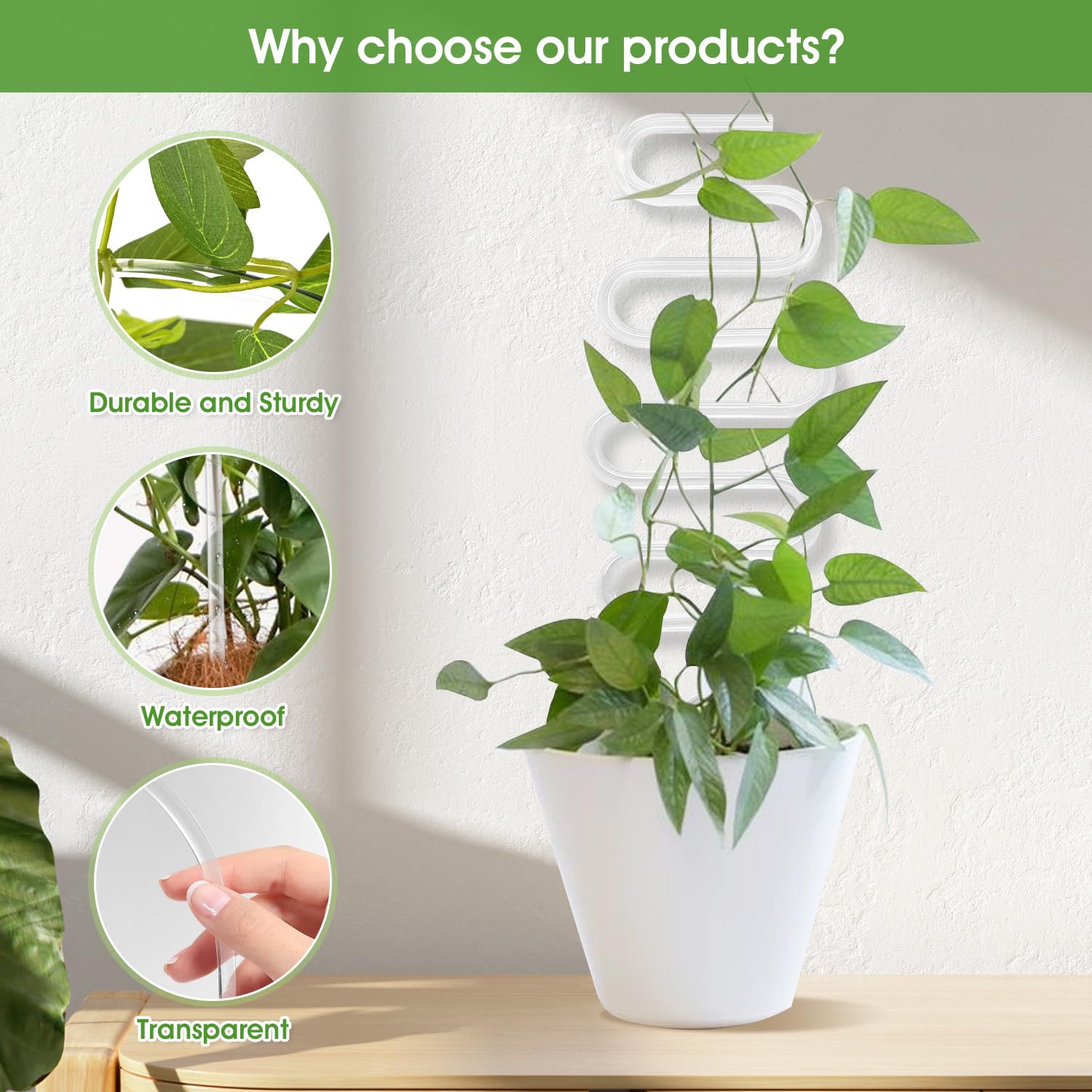 JETTIFY 2-pack curvy trellis keeps small potted vines upright for better growth.