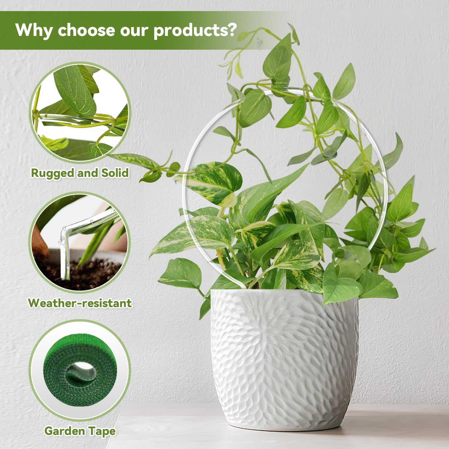 JETTIFY acrylic round trellis 9x13-inch adds sturdy support for vines.