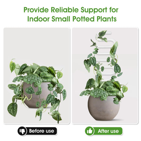 JETTIFY clear trellis provides sturdy support without visual clutter.