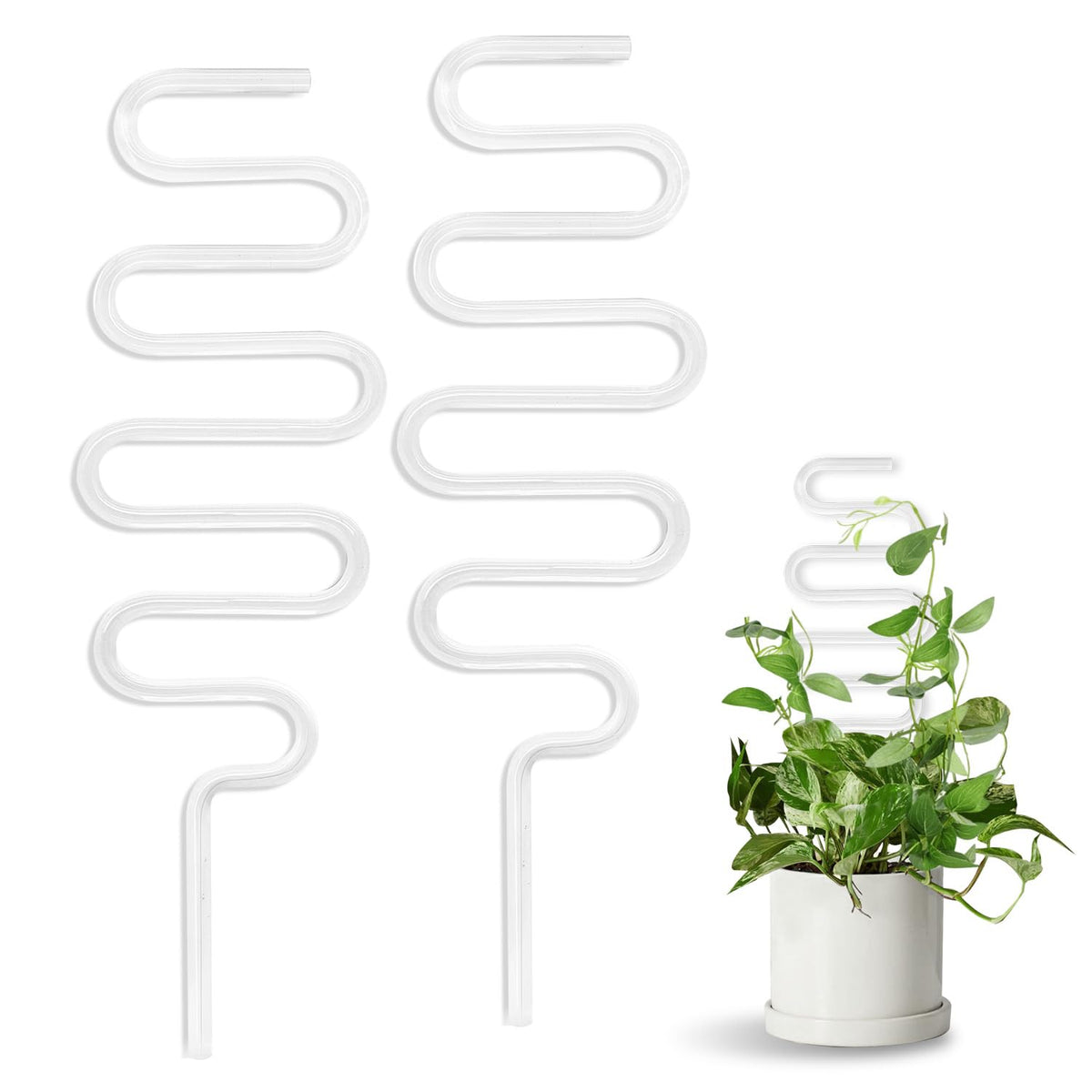 JETTIFY curvy acrylic trellis indoors supports 13-inch plants with sleek, modern style.