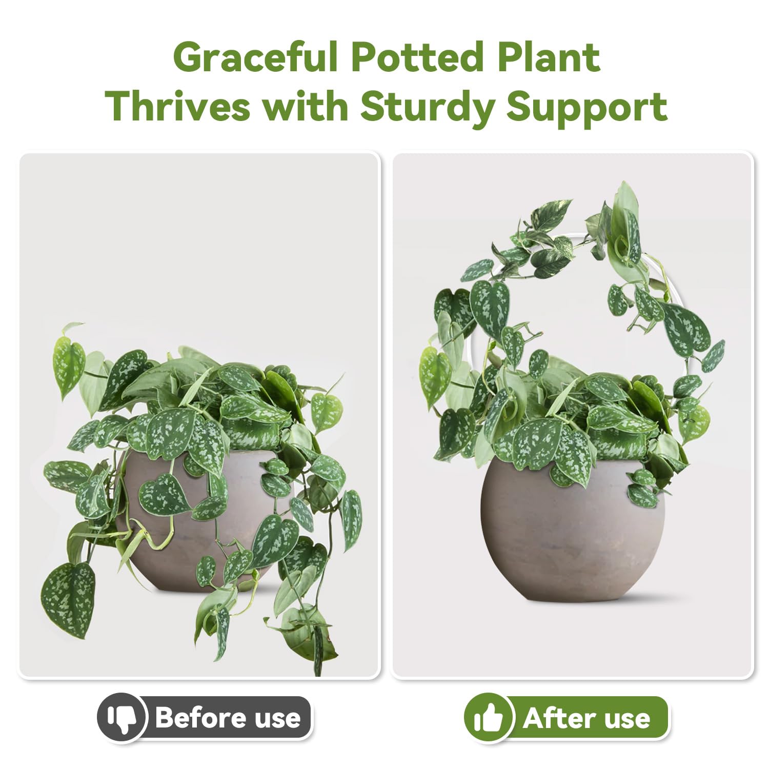JETTIFY indoor-outdoor trellis blends with decor while guiding plant growth.