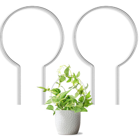 JETTIFY round trellis in clear acrylic supports climbing plants for tidy growth.