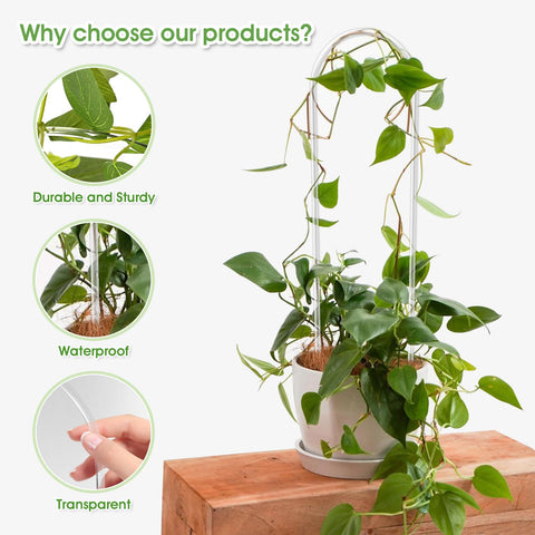 JETTIFY trellis supports Hoya growth, guiding vines for neat training.