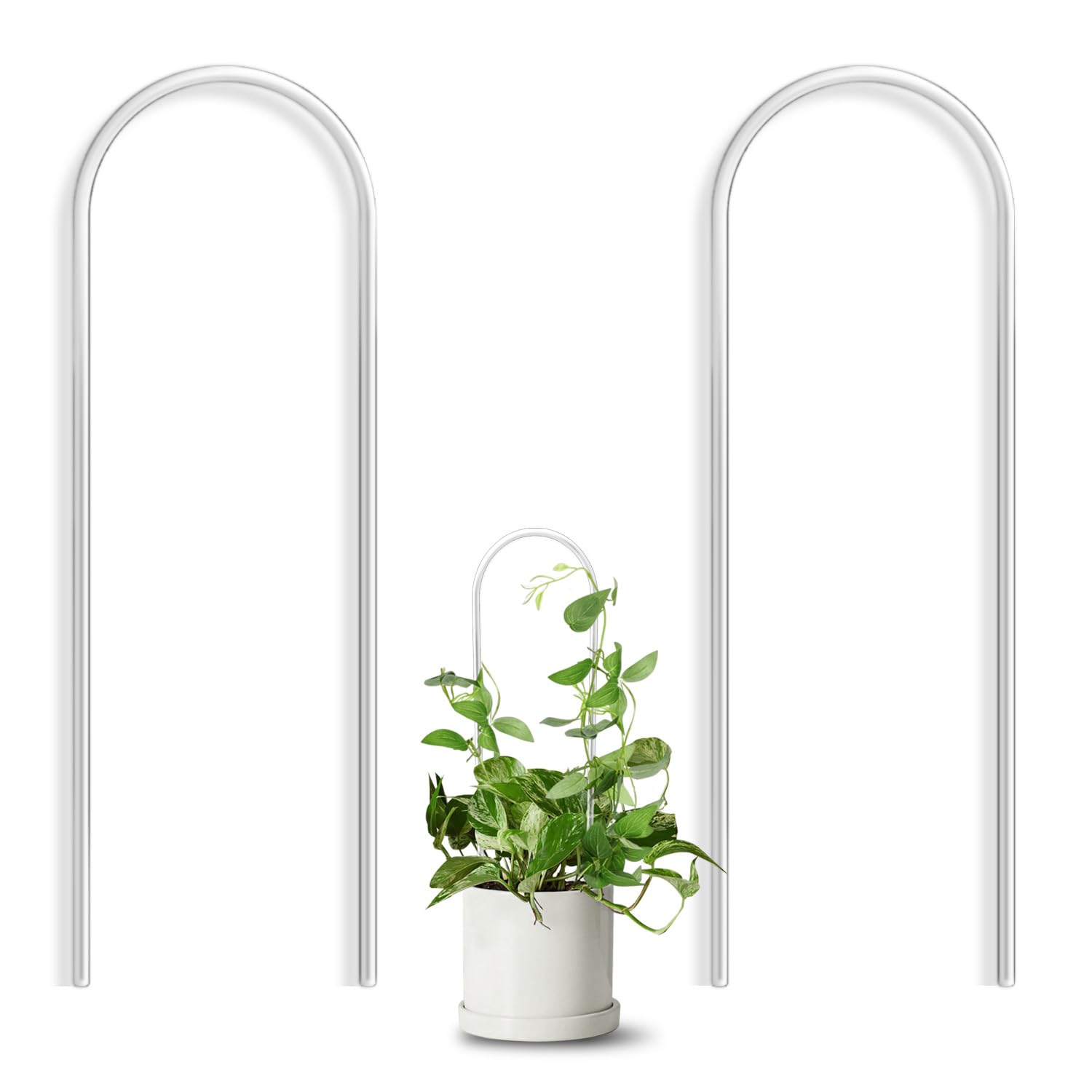 JETTIFY U-shaped clear acrylic trellis supports small potted plants with stable climbing structure.