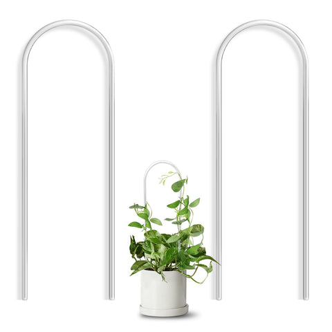 JETTIFY U-shaped clear acrylic trellis supports small potted plants with stable climbing structure.