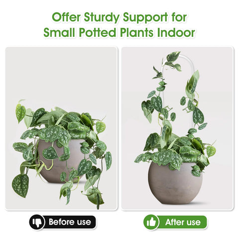 Clear 4mm thick acrylic trellis for indoor plant display, lightweight and durable.