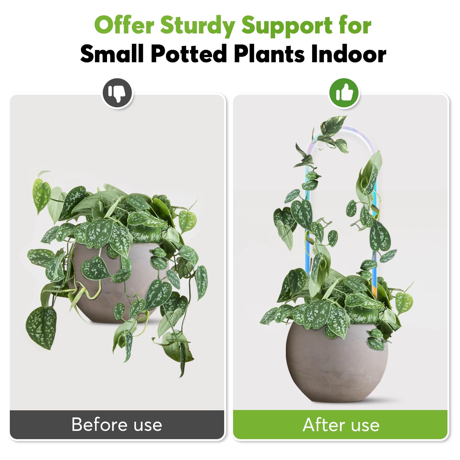 JETTIFY U-shaped color-shifting acrylic trellis on pothos showcases changing hues