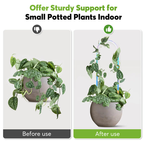 JETTIFY U-shaped color-shifting acrylic trellis on pothos showcases changing hues