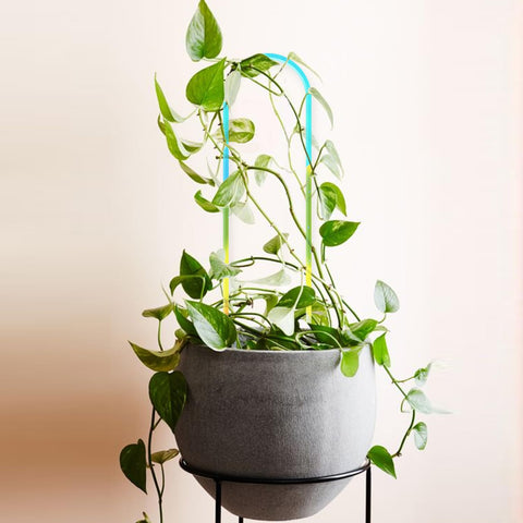 JETTIFY outdoor-ready acrylic trellis enhances patio plant displays