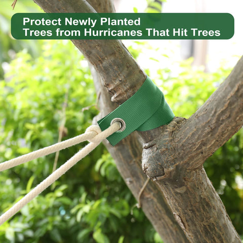 Jevrench hurricane-ready straps in use, showing reliable support during severe weather.