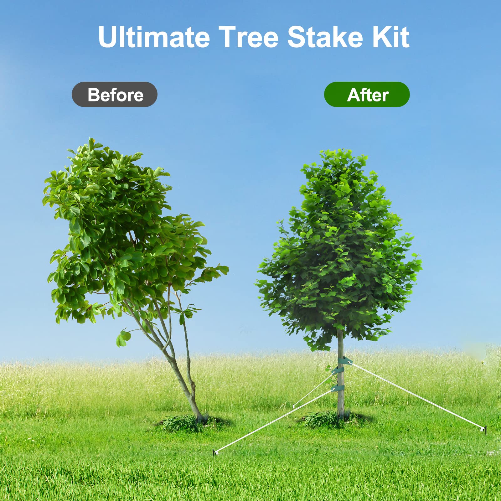 Jevrench tree stake kit ground setup in soil demonstrating installation