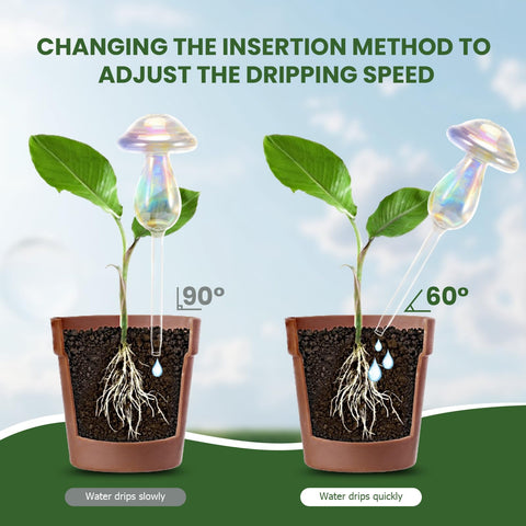 JFLLAJNF packaging ensures safe delivery and makes a thoughtful gift for gardeners.