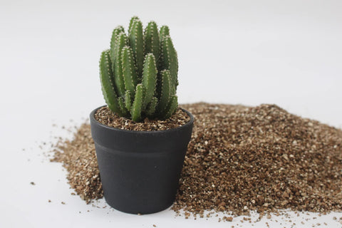 JFWOD Organic Vermiculite garden setup demonstrates versatile growing medium