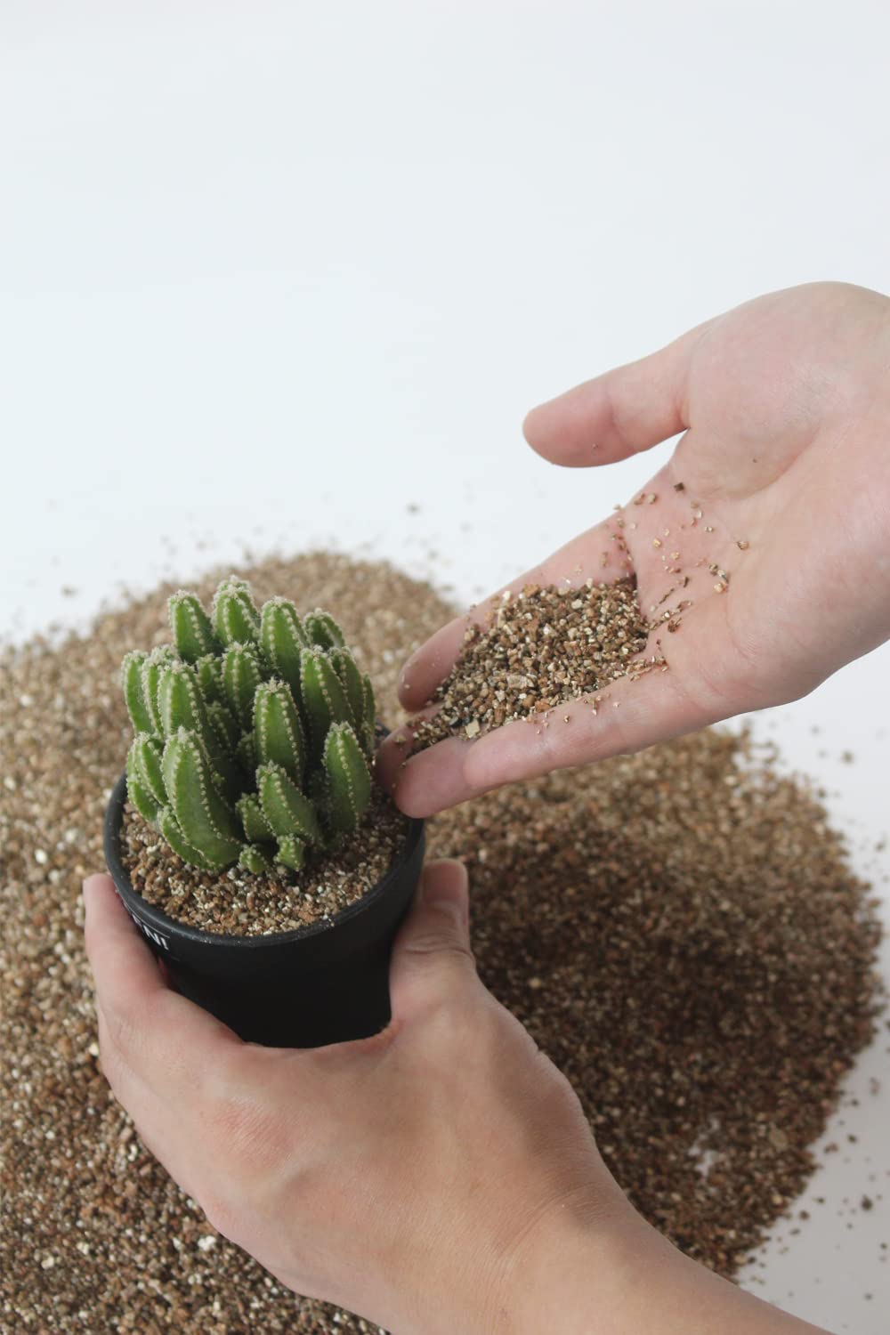 JFWOD Organic Vermiculite moisture retention scene enhances watering efficiency