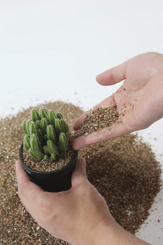 JFWOD Organic Vermiculite moisture retention scene enhances watering efficiency