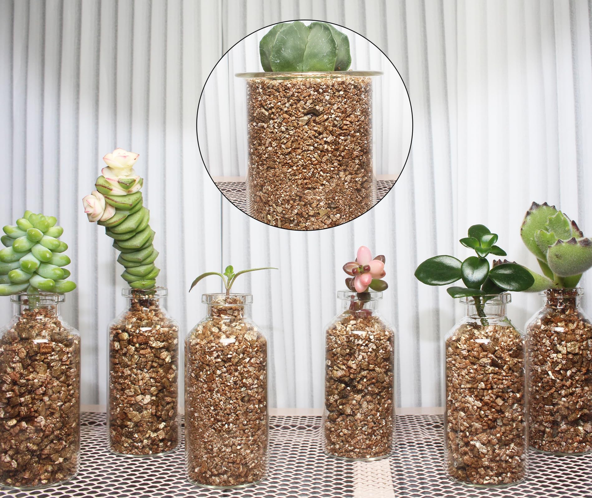 JFWOD Organic Vermiculite in potting soil improves drainage and reduces overwatering risk
