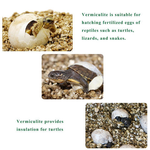JFWOD Organic Vermiculite rooting cuttings setup promoting gentle moisture for rooting