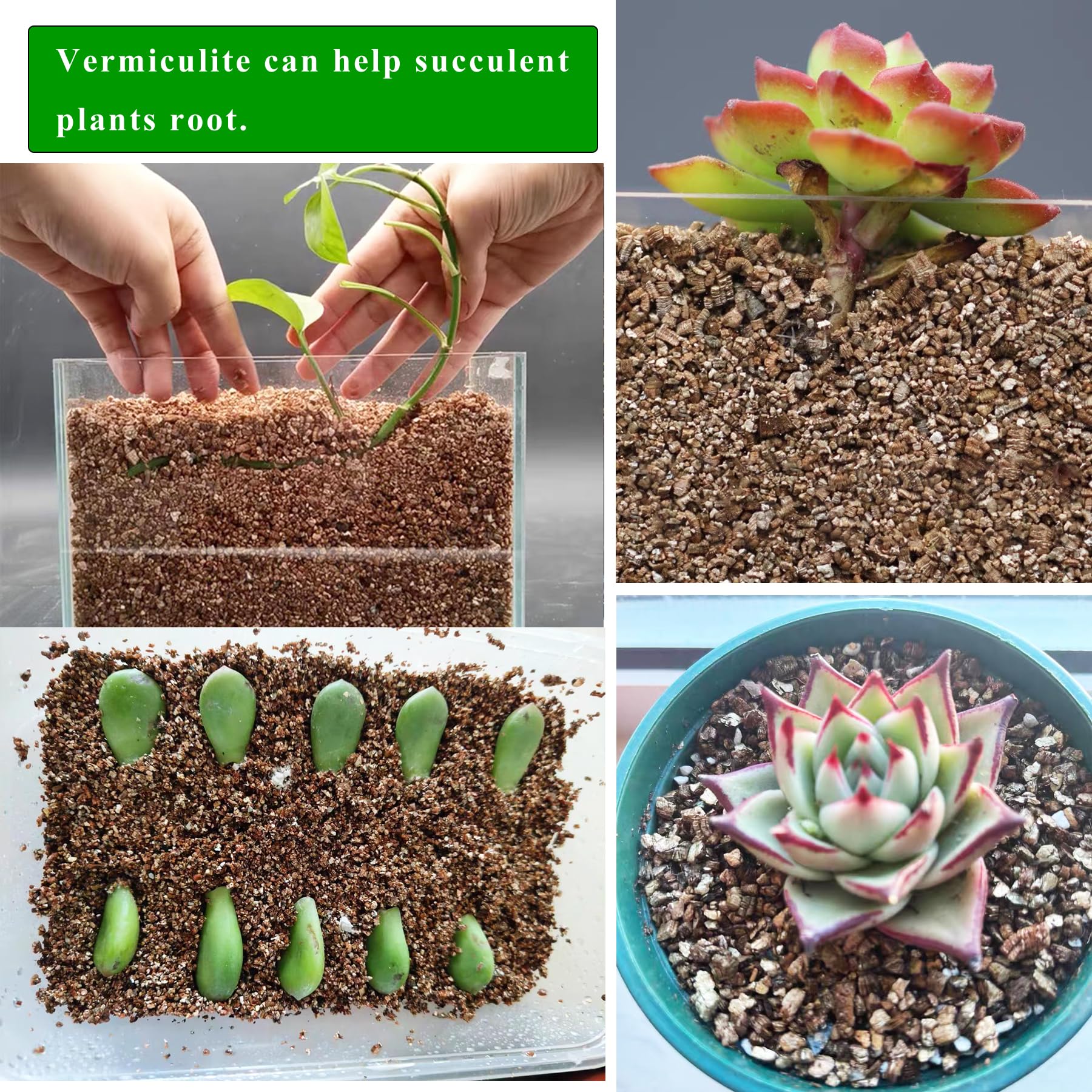 JFWOD Organic Vermiculite used in seed starting tray for balanced moisture and air
