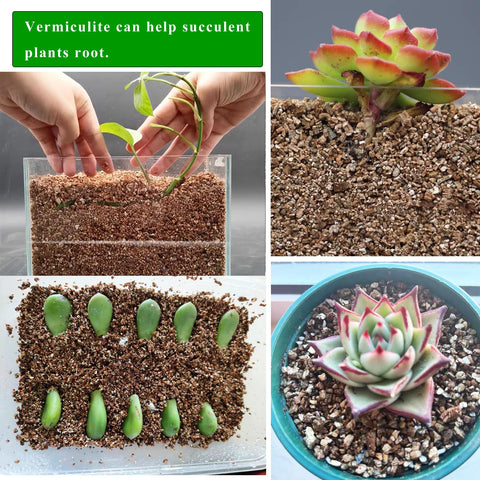 JFWOD Organic Vermiculite used in seed starting tray for balanced moisture and air
