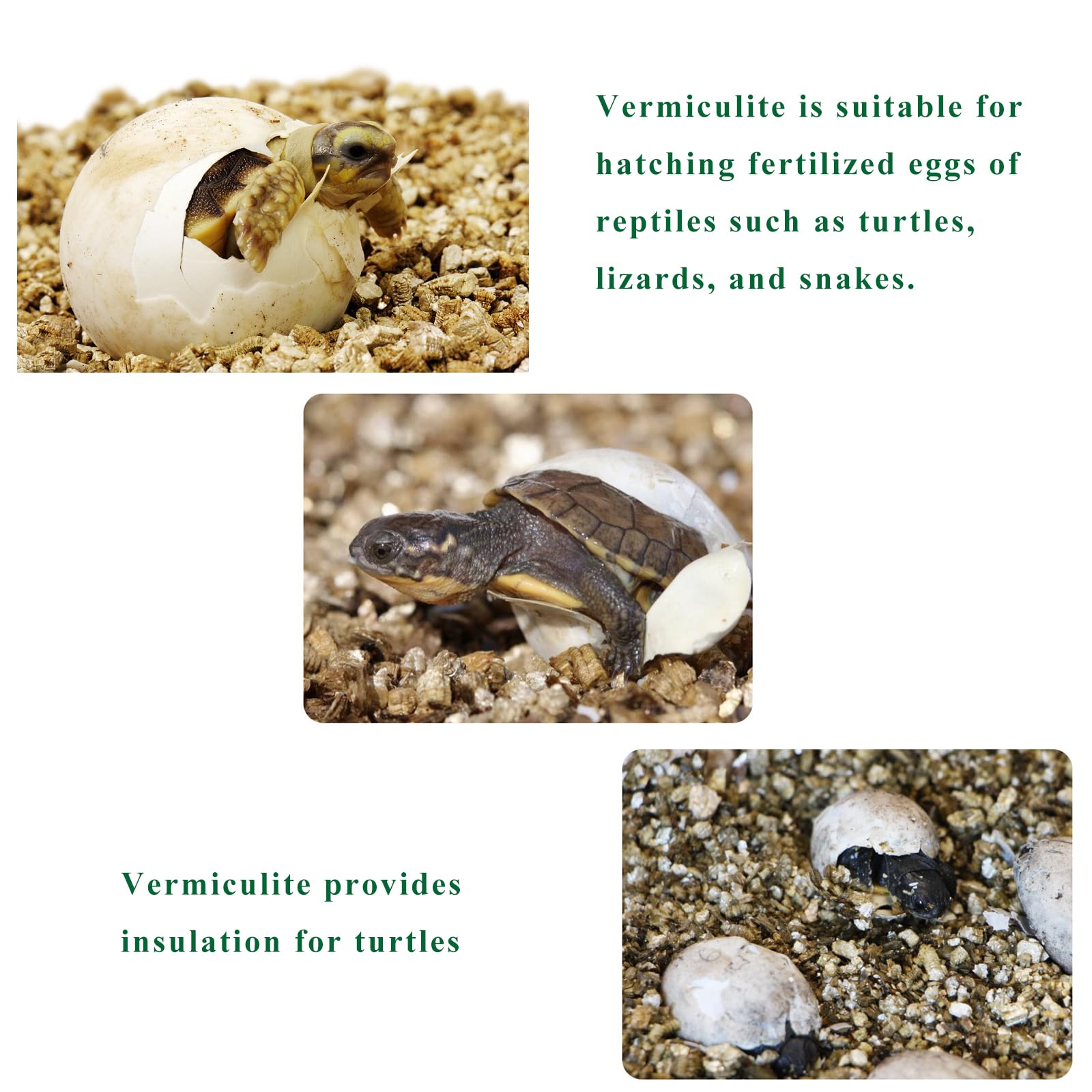 JFWOD Organic Vermiculite hydroponic setup for consistent moisture